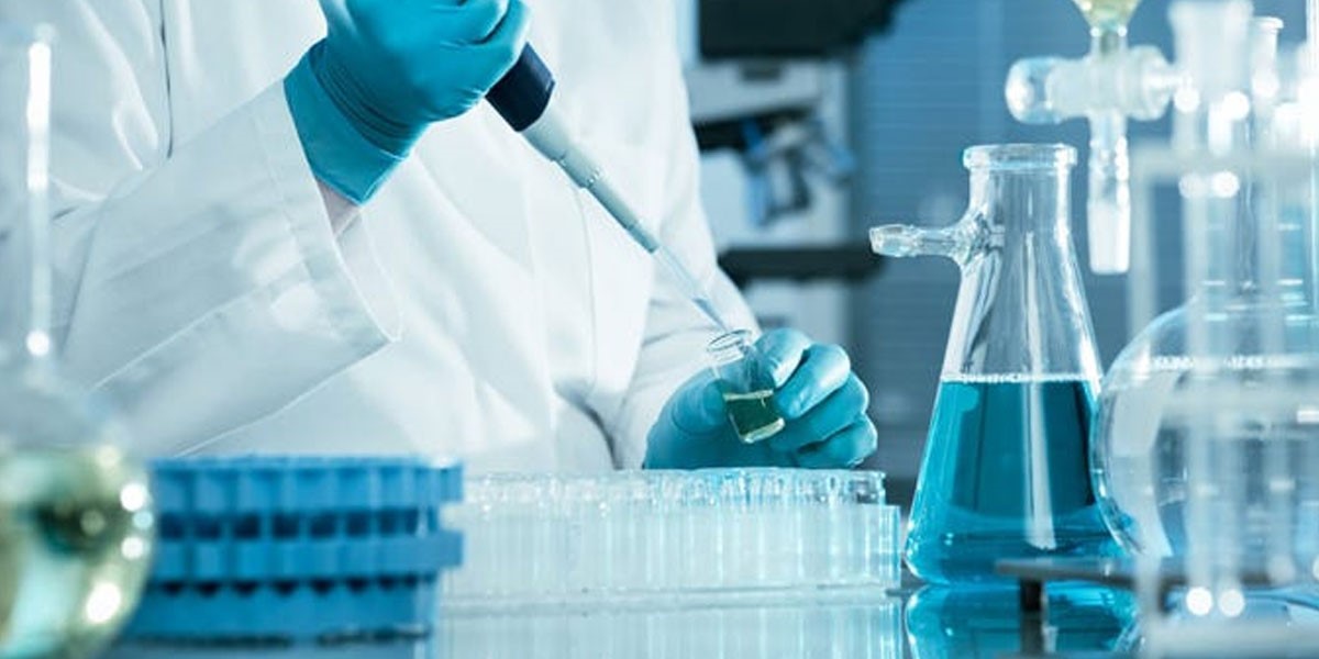 Construction Raw Materials Supplier