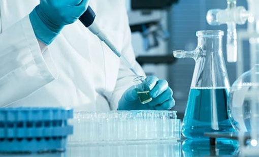 Construction Raw Materials Supplier in UAE