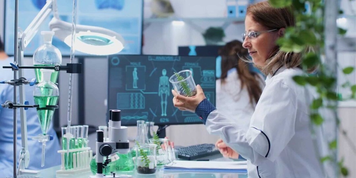 Materials Suppliers in UAE