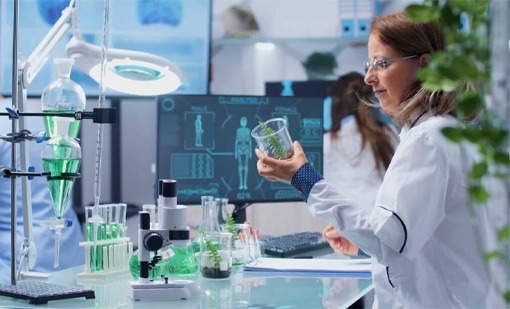 Materials Suppliers in UAE